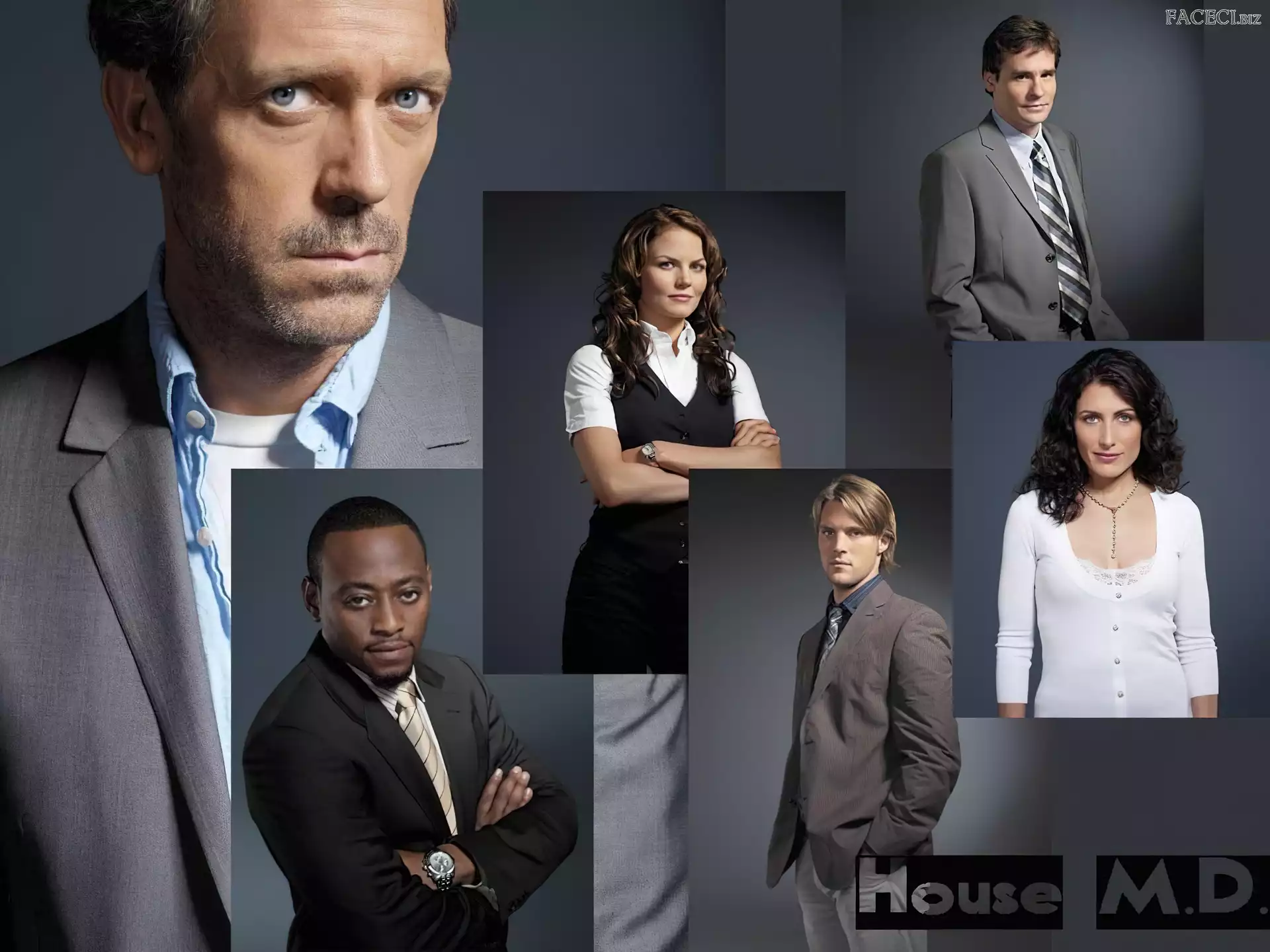 Hugh Laurie, Dr. House, Aktorzy